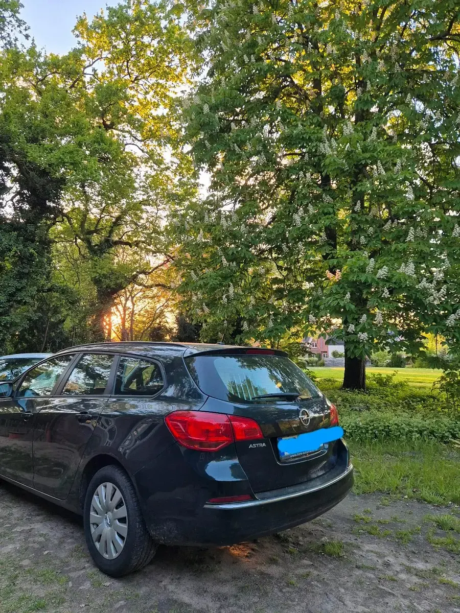 Gebraucht Opel Astra 2014 Kombi