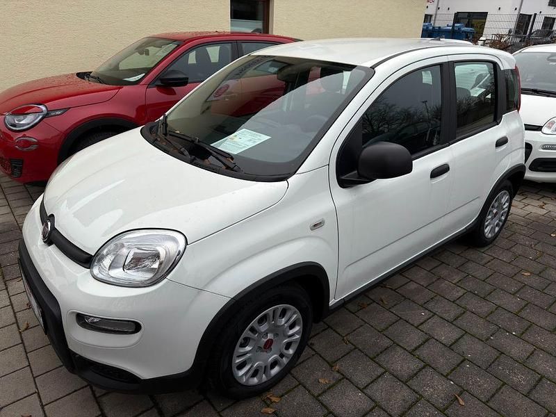 Gebraucht Fiat Panda 69 PS (50 kW) 2024 Weiß Limousine