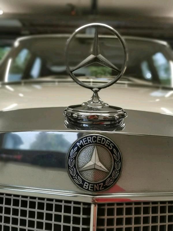 Beige Gebraucht 1966 Mercedes 250 SE Limousine | 24.500 € - Bild 1/4