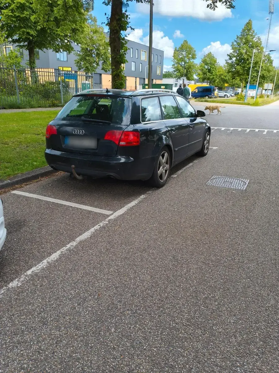 Gebraucht Audi A4 S-Line 170 PS (125 kW) 2007 Kombi