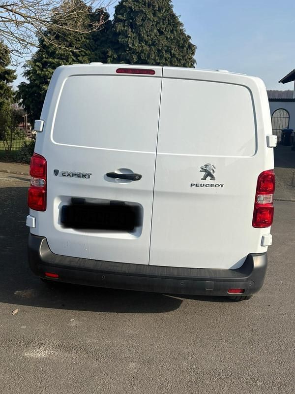 Gebraucht Peugeot Expert 120 PS (88 kW) 2024 Weiß Van