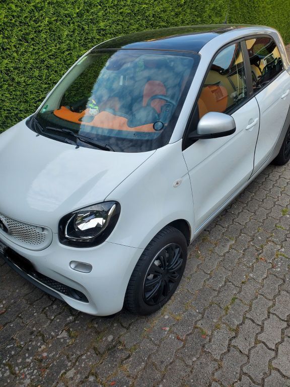 Bild 4/4