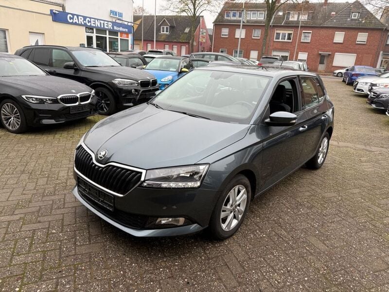 Gebraucht Skoda Fabia Style 95 PS (69 kW) 2020 Grau Kleinwagen