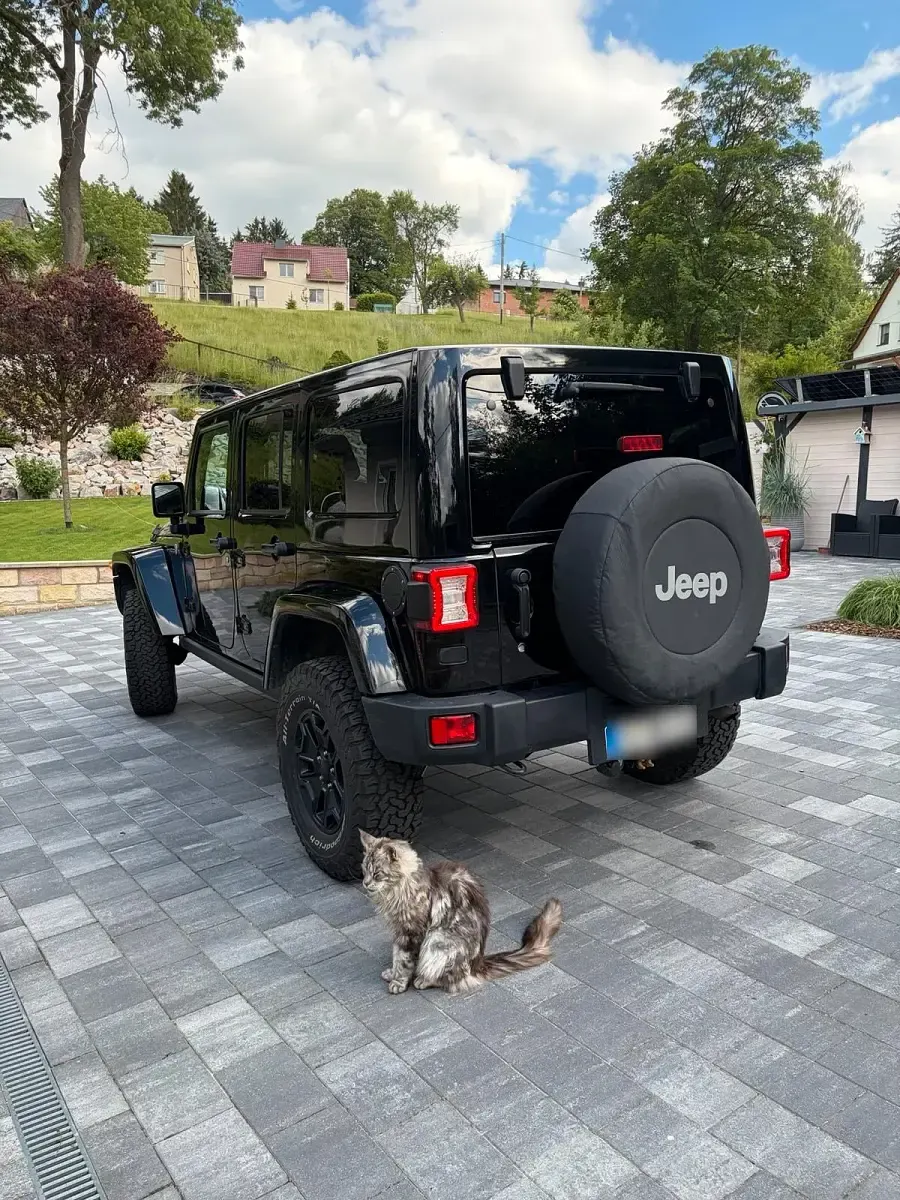 Gebraucht Jeep Wrangler 284 PS (208 kW) 2016 Schwarz SUV