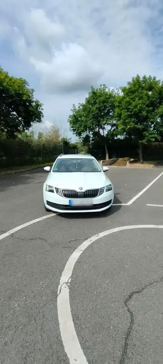 Gebraucht Skoda Octavia Active 86 PS (63 kW) 2018 Weiß Kombi