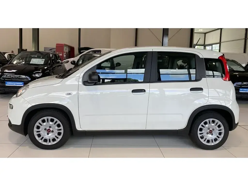 Gebraucht Fiat Panda 69 PS (50 kW) 2023 Colore esterno (weiss) Kleinwagen