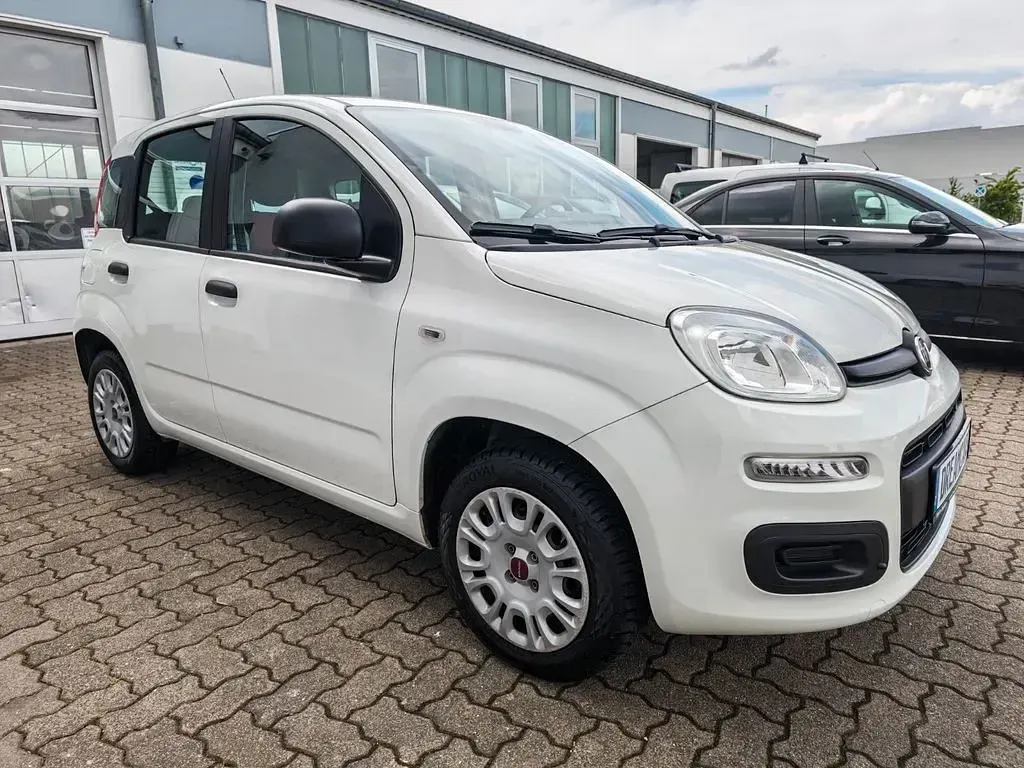 Usata Fiat Panda Easy 69 CV (50 kW) 2020 Bianco Utilitaria