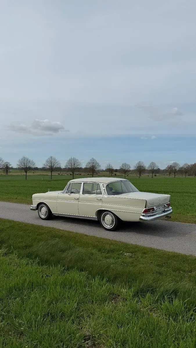 Gebraucht Mercedes 300 170 PS (125 kW) 1964 Weiß Limousine