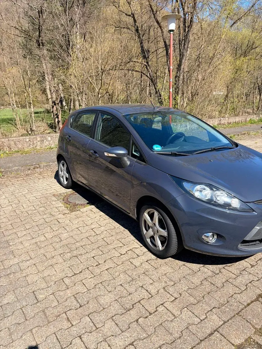 Gebraucht Ford Fiesta 69 PS (50 kW) 2012 Blau Kleinwagen