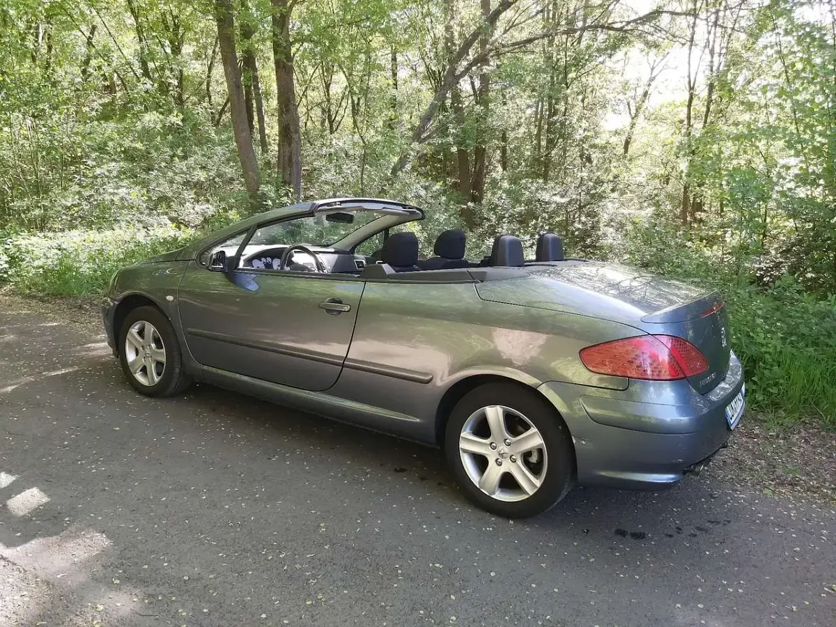 Gebraucht Peugeot 307 CC Filou 109 PS (80 kW) 2005 Cabrio