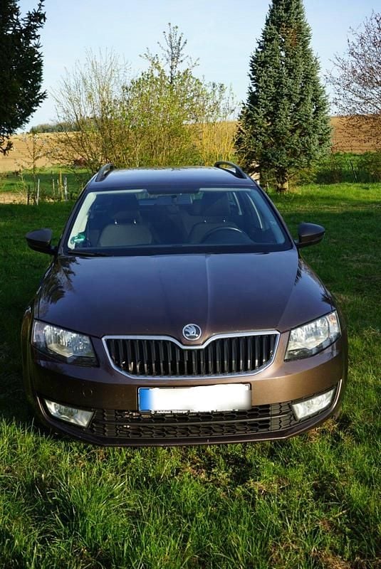 Braun Gebraucht 2014 Skoda Octavia Kombi | 4.950 € (Superpreis) - Bild 1/4