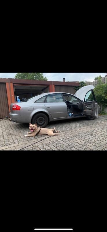 Gebraucht 2002 Audi A6 Limousine | 950 € (Superpreis) - Bild 1/4
