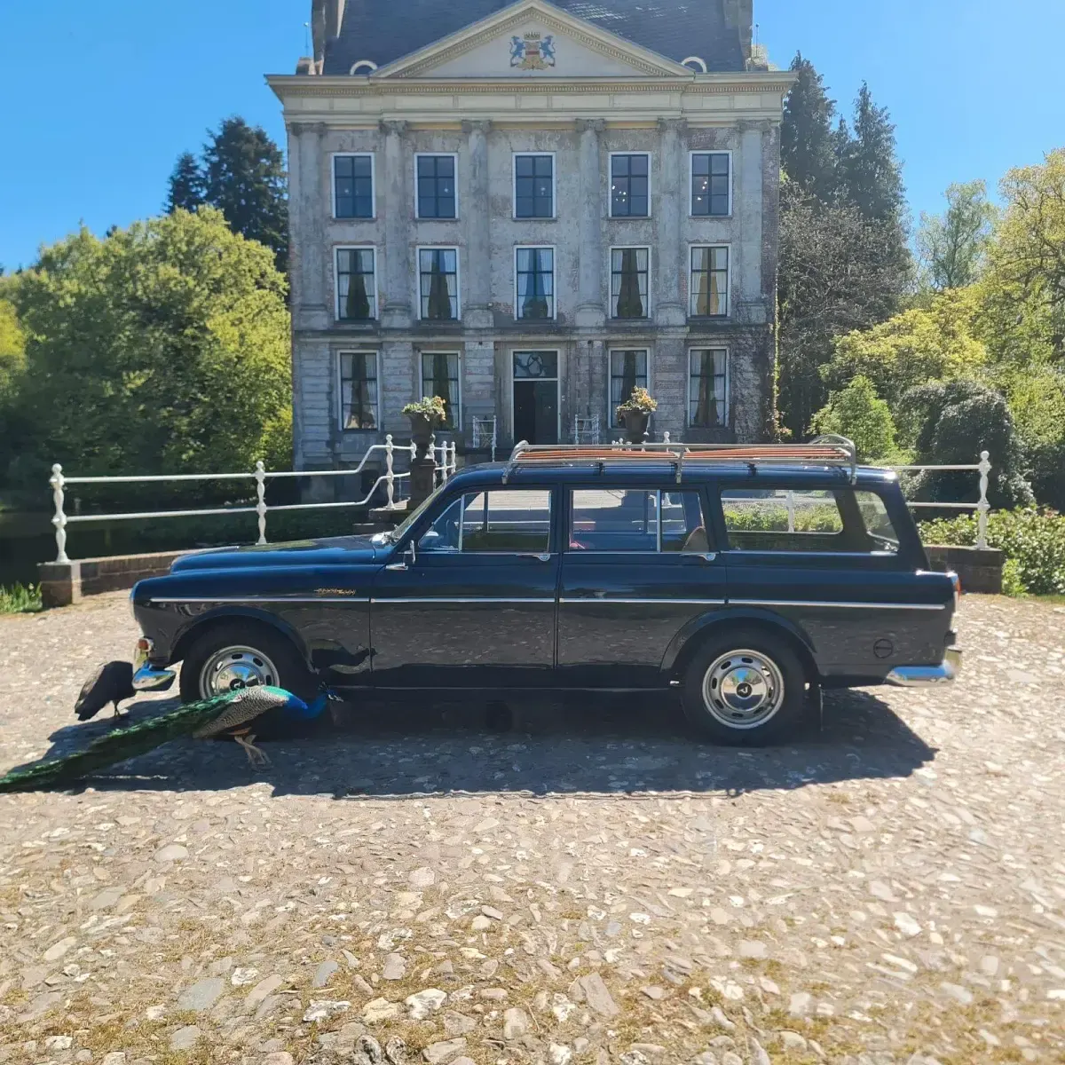 Usata Volvo Amazon 1963 Station wagon