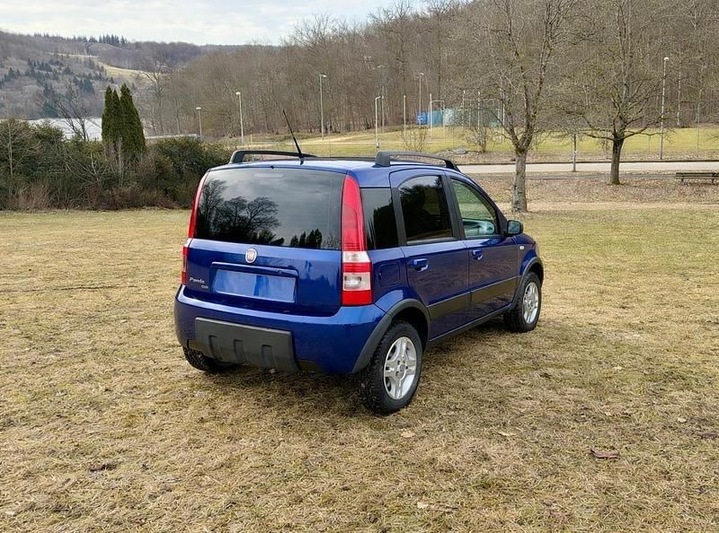 Gebraucht Fiat Panda 4x4 60 PS (44 kW) 2009 Blau Kleinwagen