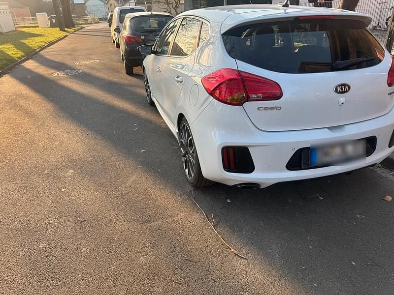Gebraucht Kia Ceed GT GT 204 PS (150 kW) 2014 Weiß Kleinwagen