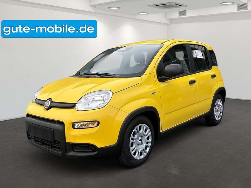 Andere farbe Gebraucht 2024 Fiat Panda Kleinwagen | 13.990 € (Fairer Preis) - Bild 1/4