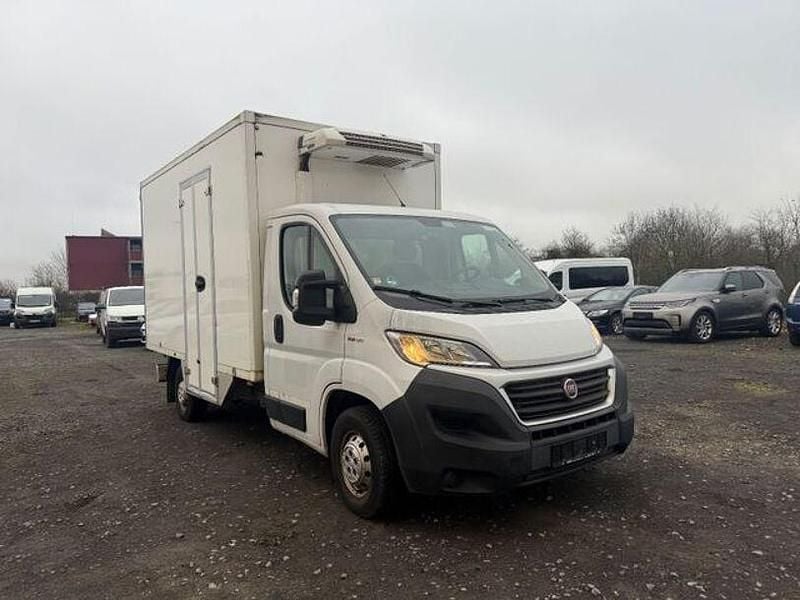 Weiss Gebraucht 2019 Fiat Ducato Van | 13.566 € (Superpreis) - Bild 1/4