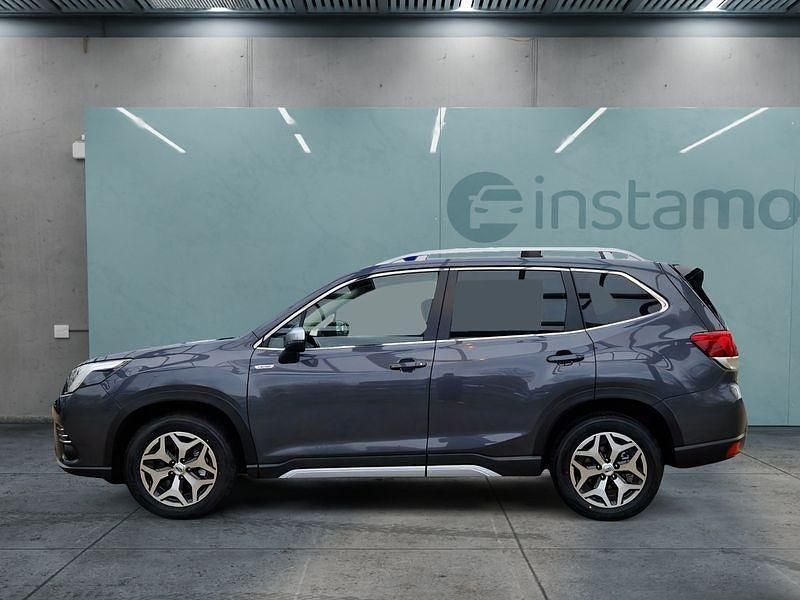 Gebraucht Subaru Forester 150 PS (110 kW) 2024 Grau SUV