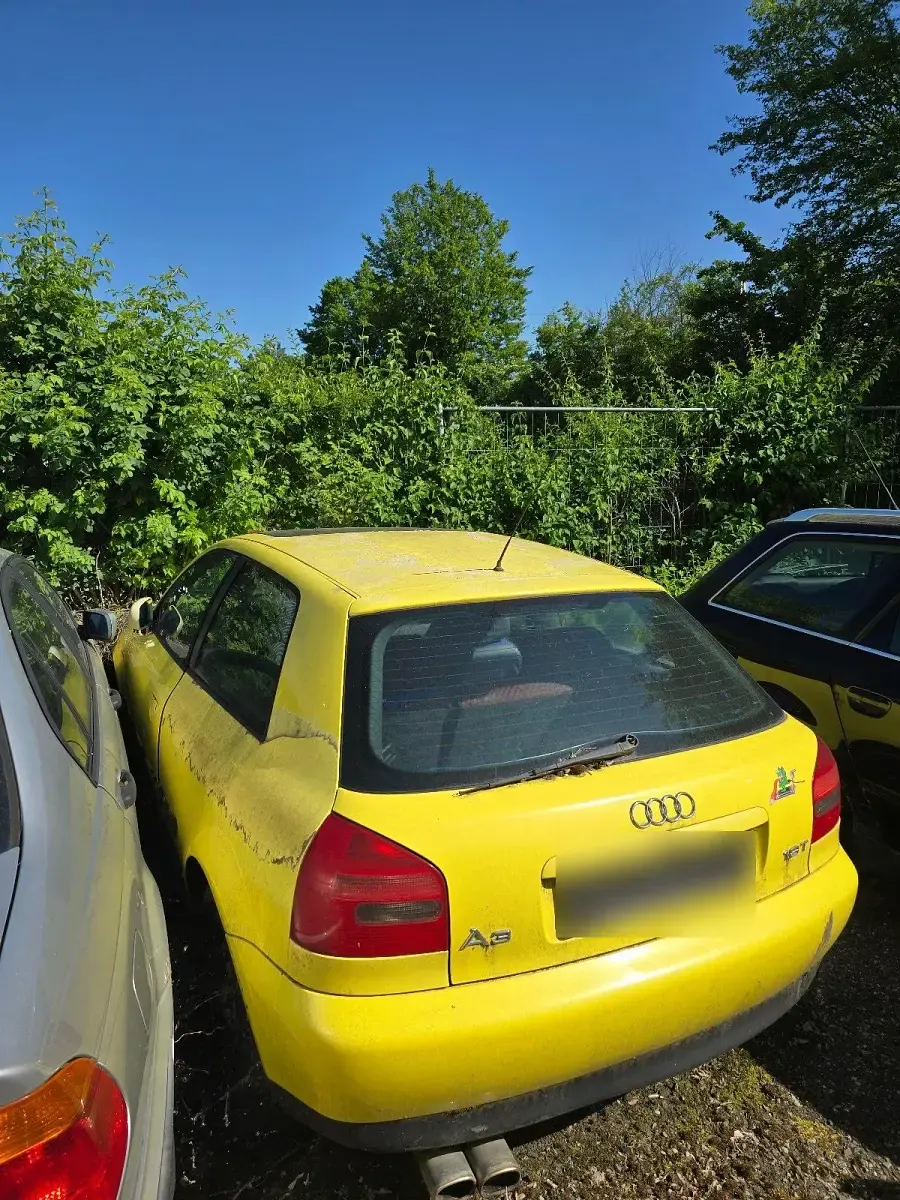 Gebraucht Audi A3 150 PS (110 kW) 1997 Gelb Kleinwagen