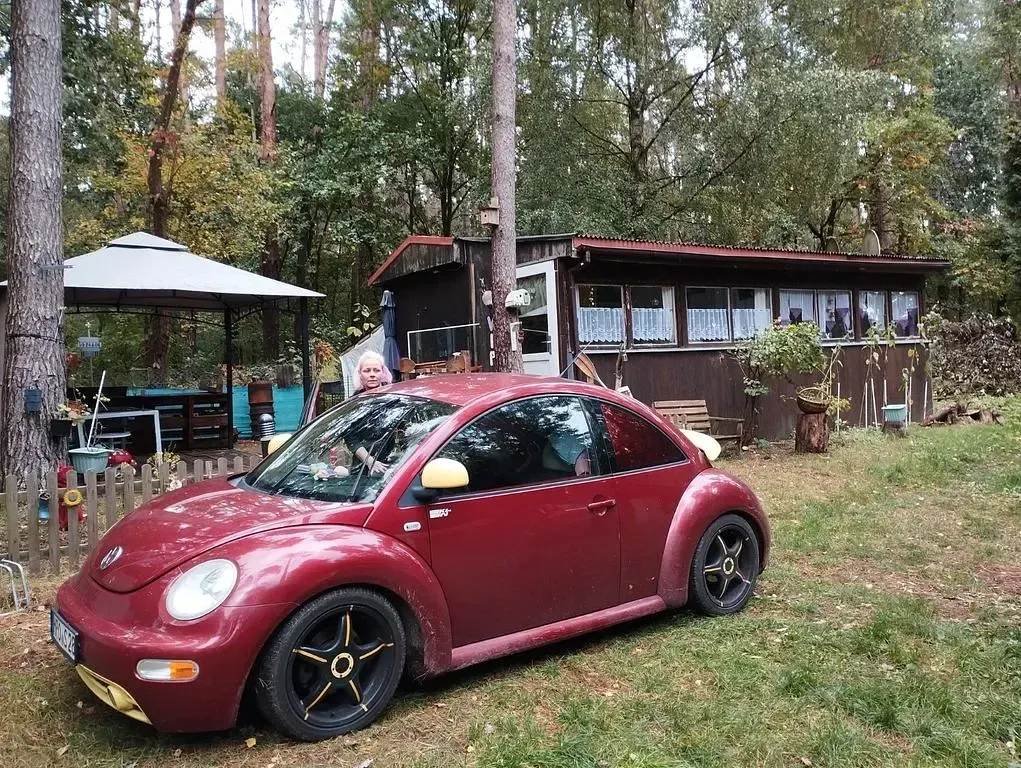 Gebraucht VW New Beetle 116 PS (85 kW) 1999 Rot Kleinwagen