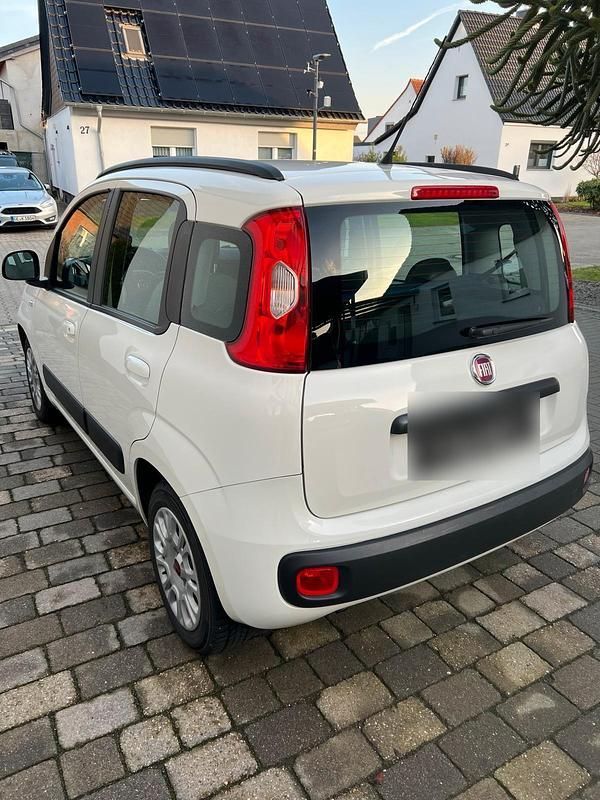Gebraucht Fiat Panda 69 PS (50 kW) 2012 Weiß Kleinwagen