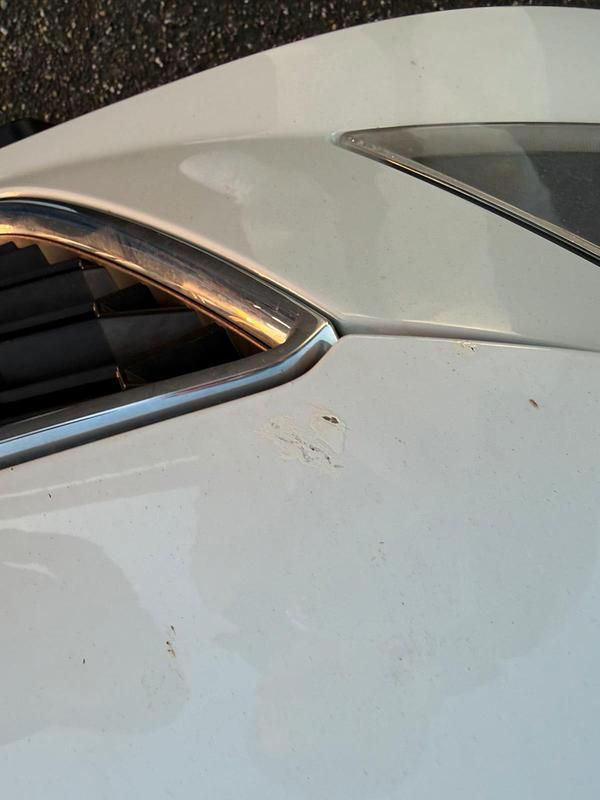 Gebraucht Seat Leon ST FR 184 PS (135 kW) 2016 Weiß Kombi