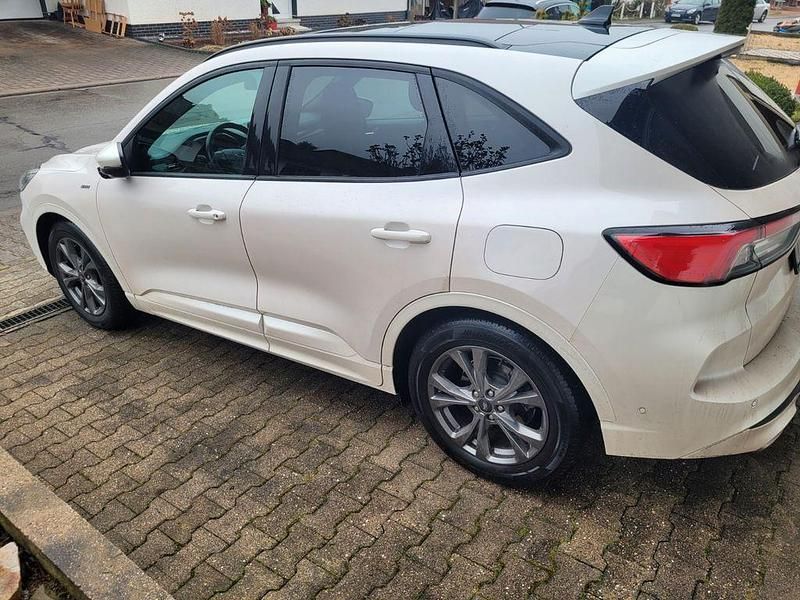 Gebraucht Ford Kuga ST-Line 150 PS (110 kW) 2022 Weiß SUV