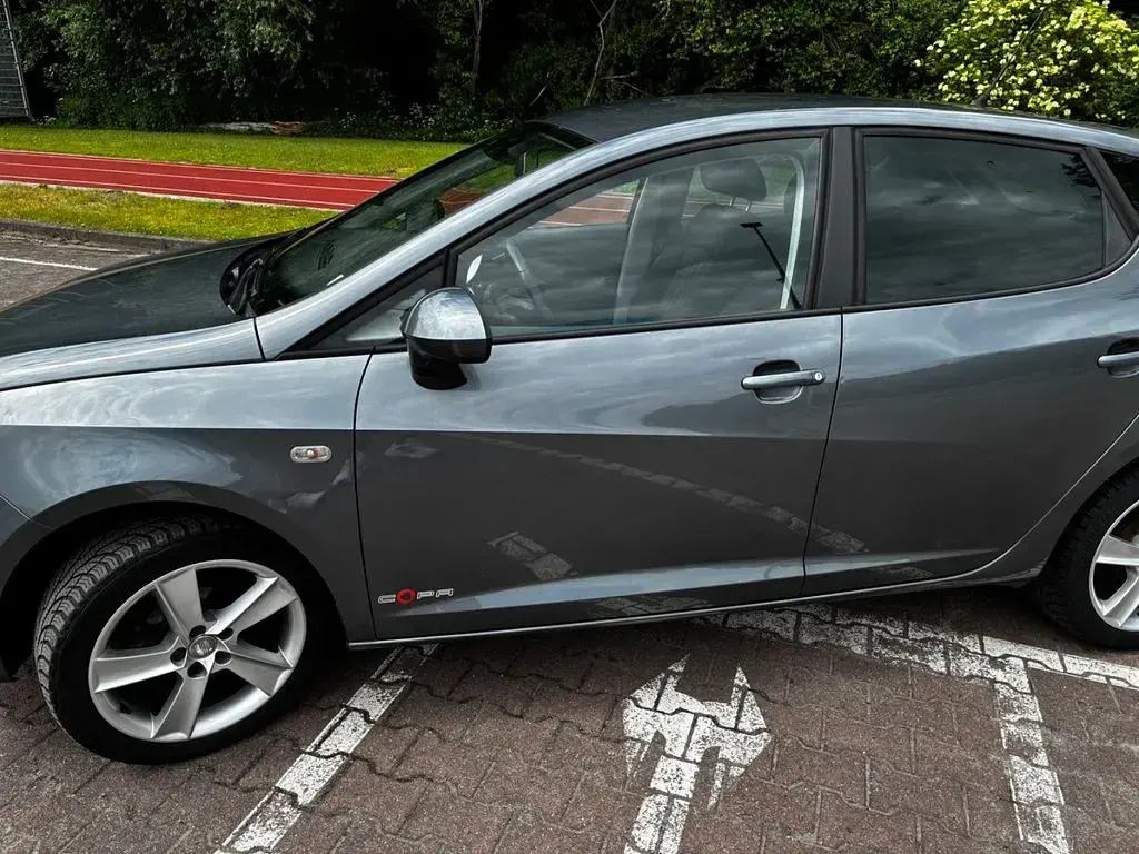 Gebraucht Seat Ibiza SC Copa 86 PS (63 kW) 2012 Grau Kleinwagen