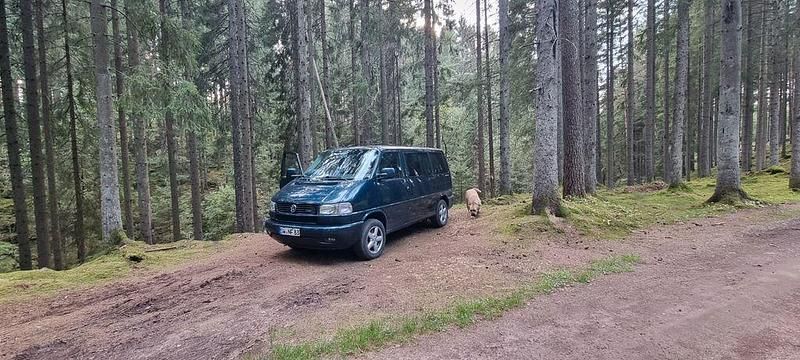 Gebraucht VW Multivan 151 PS (111 kW) 2001 Grün Van