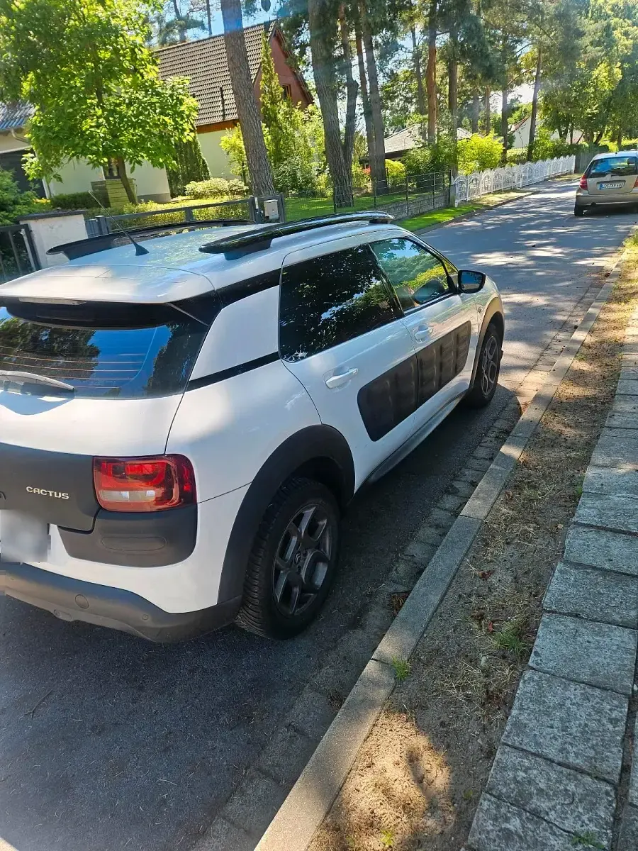 Gebraucht Citroën C4 Cactus 99 PS (72 kW) 2015 Weiß Kleinwagen