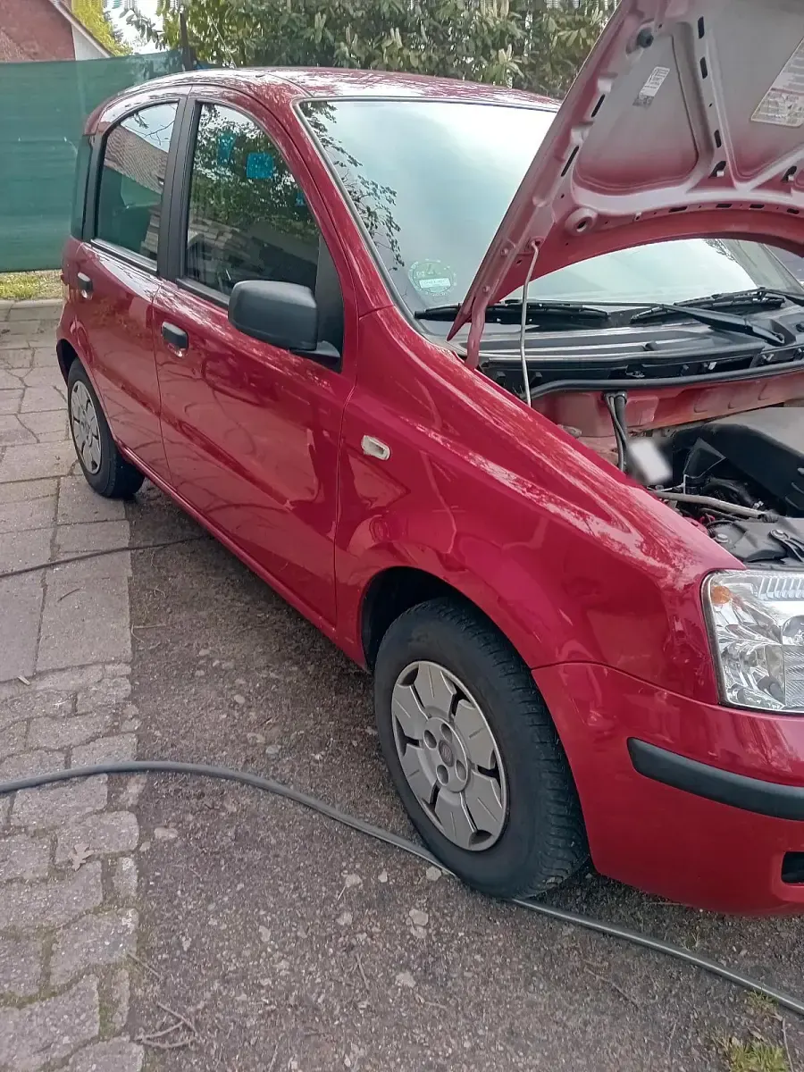 Gebraucht Fiat Panda 54 PS (39 kW) 2009 Rot Kleinwagen