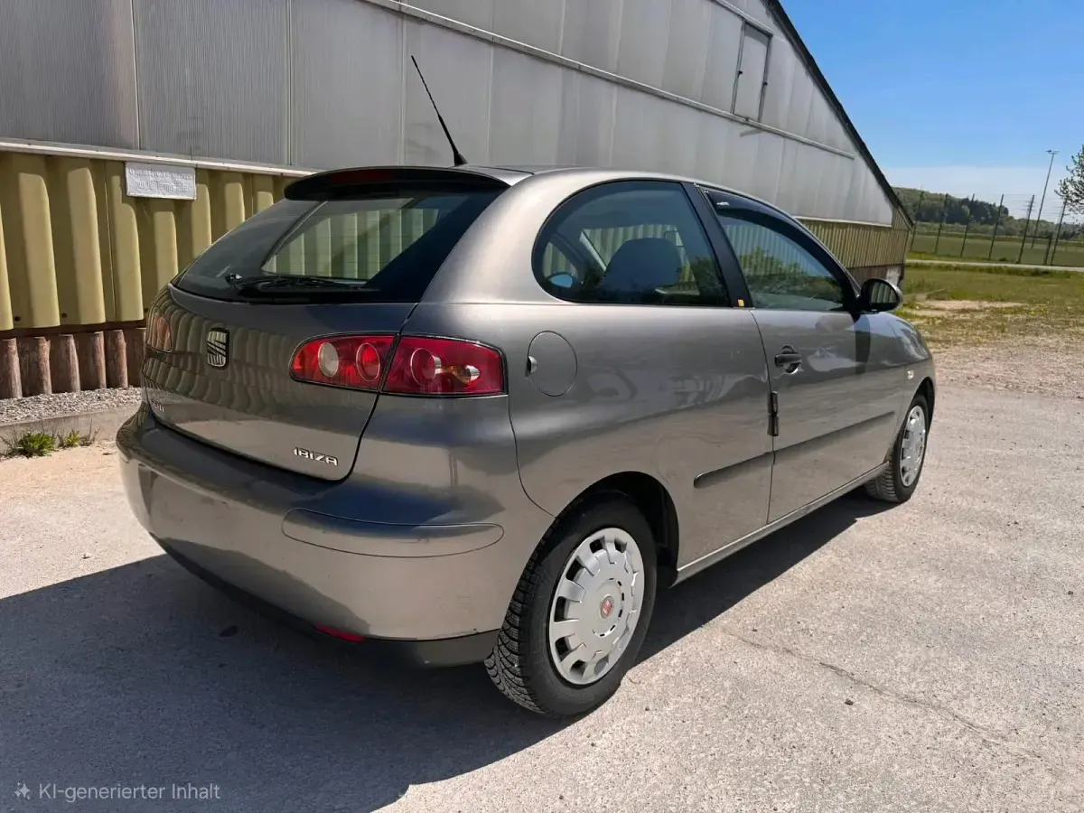 Second-hand Seat Ibiza 75 CP (55 kW) 2003 Maro Hatchback