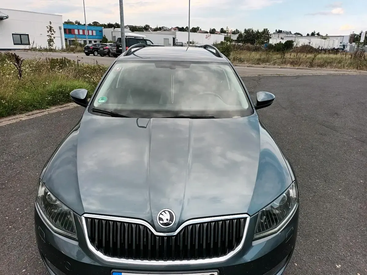 Gebraucht Skoda Octavia 150 PS (110 kW) 2017 Grau Kombi