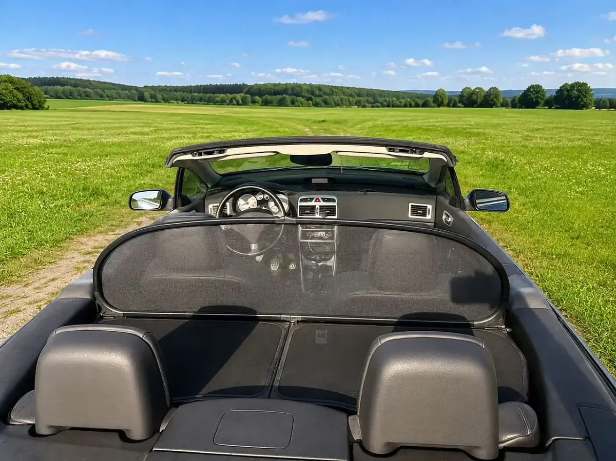 Gebraucht Peugeot 307 Sport 136 PS (100 kW) 2004 Limousine