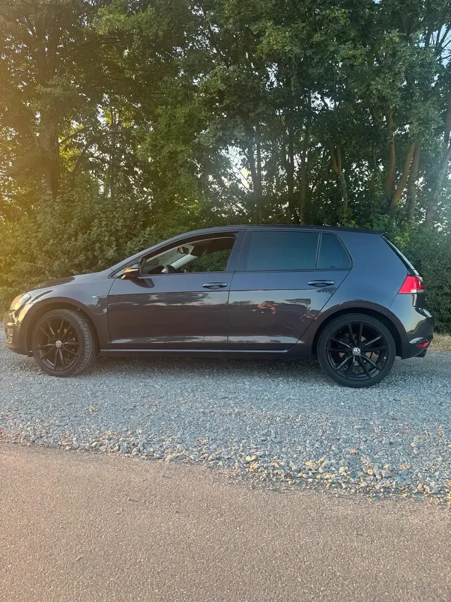 Gebraucht VW Golf VII LOUNGE 110 PS (80 kW) 2015 Grau Kombi