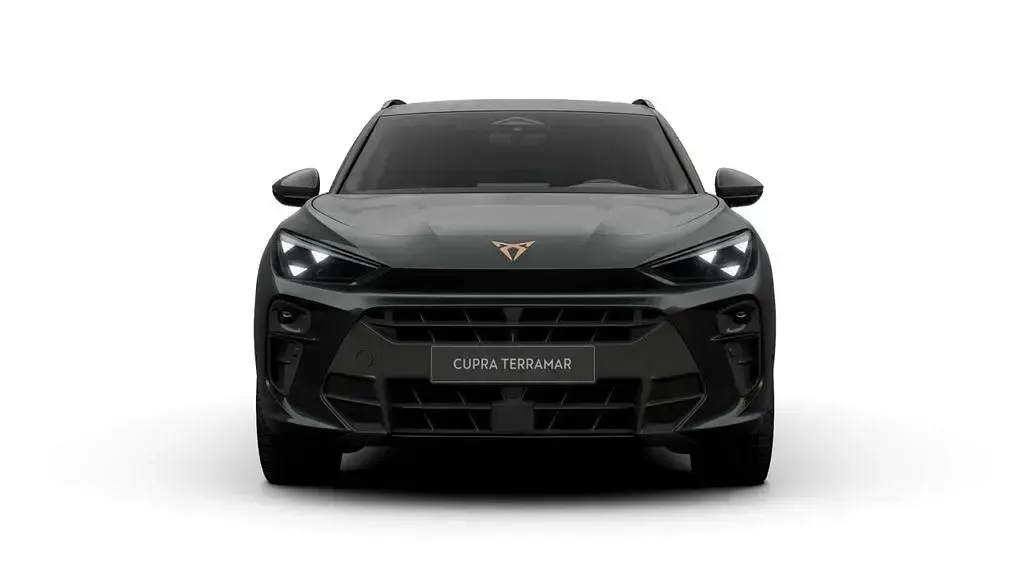 Gebraucht Cupra Terramar 204 PS (150 kW) 2026 Grau SUV
