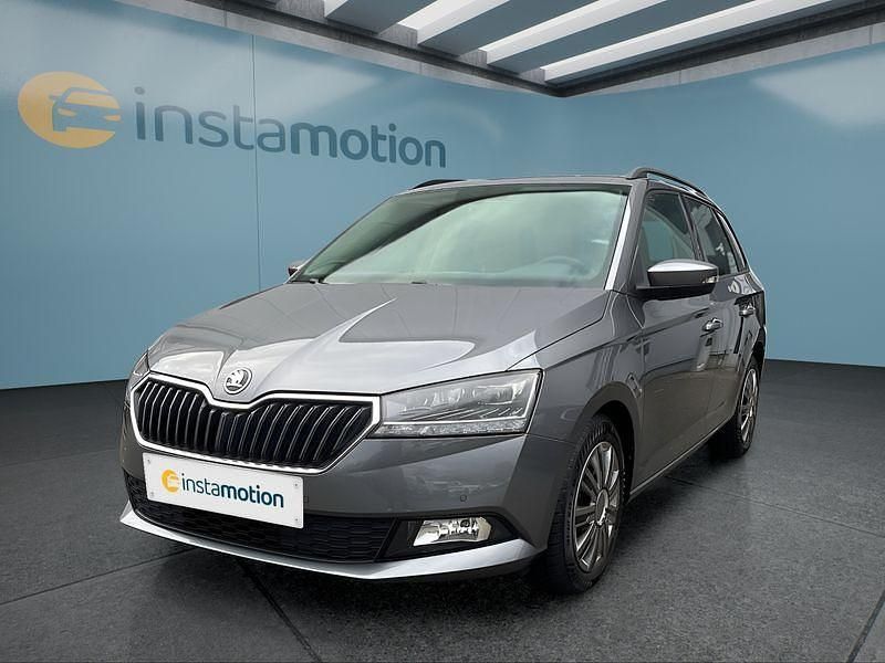 Grau Gebraucht 2022 Skoda Fabia Kleinwagen | 17.999 € (Fairer Preis) - Bild 1/4