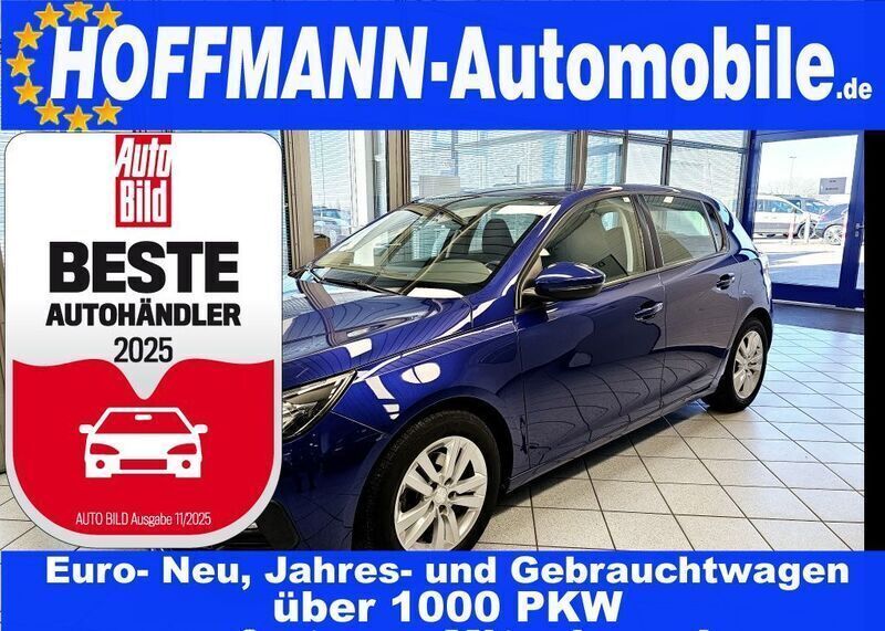 Blau Gebraucht 2019 Peugeot 308 Active Limousine | 12.700 € (Fairer Preis) - Bild 1/4