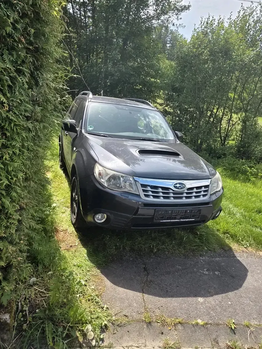 Gebraucht Subaru Forester 147 PS (108 kW) 2013 Blau SUV