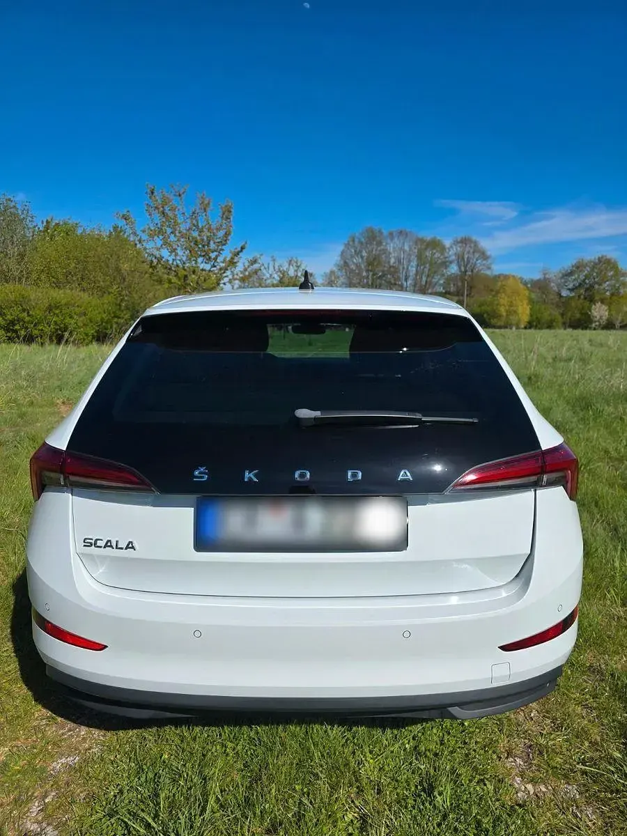 Gebraucht Skoda Scala Ambition 116 PS (85 kW) 2019 Weiß Kleinwagen