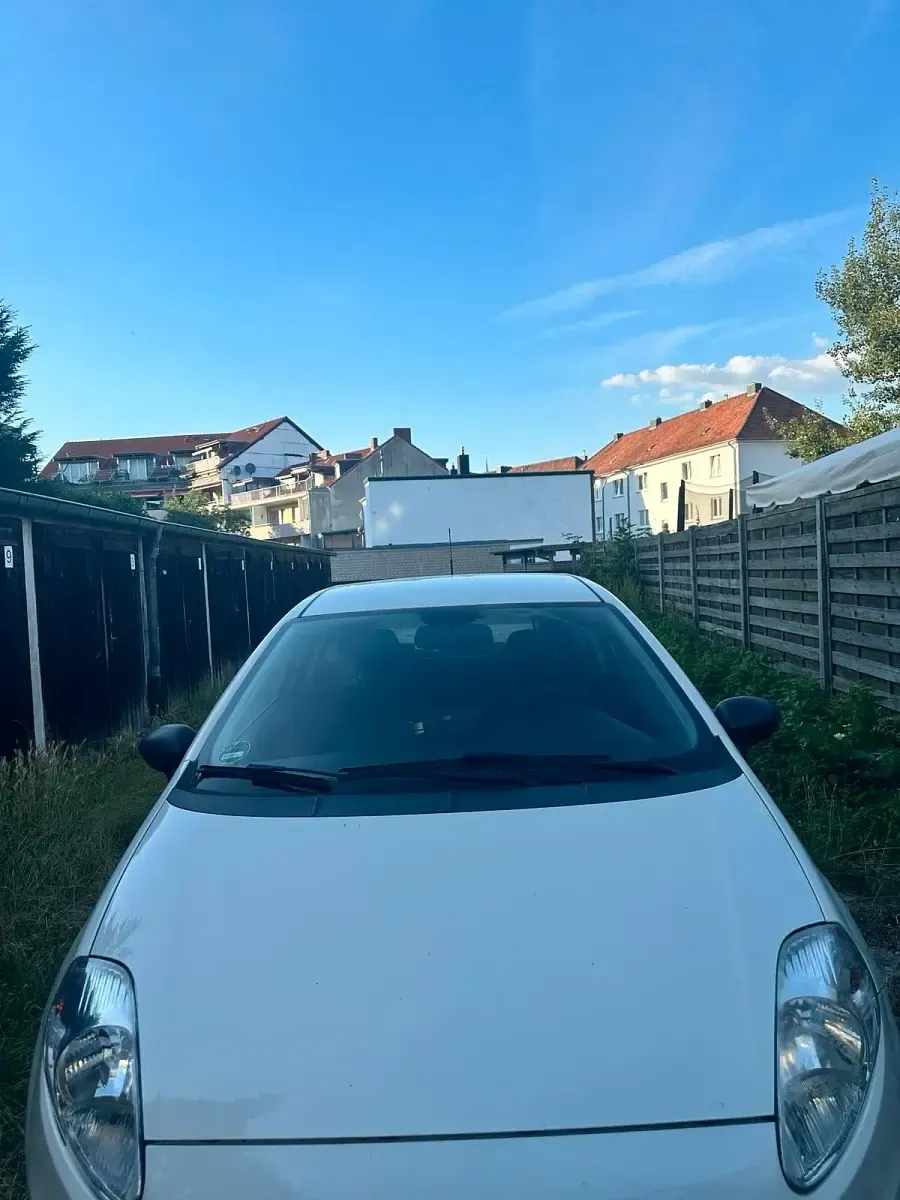 Gebraucht Fiat Punto 73 PS (53 kW) 2012 Weiß Kleinwagen