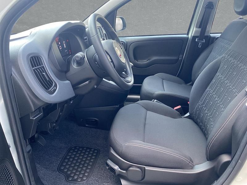 Neu Fiat Panda 69 PS (50 kW) 2025 Weiß Kleinwagen