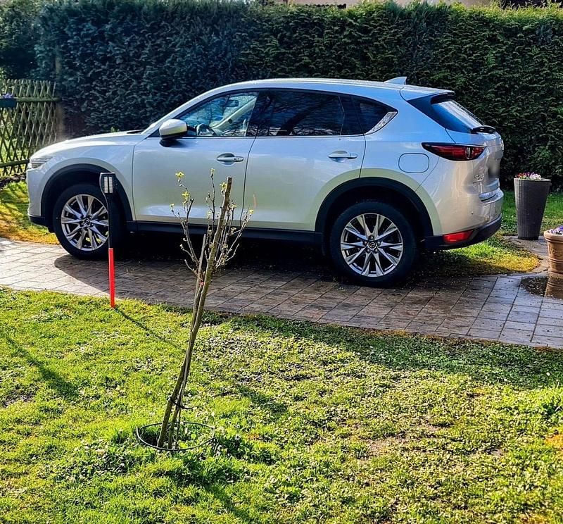 Gebraucht Mazda CX-5 184 PS (135 kW) 2019 Silber SUV