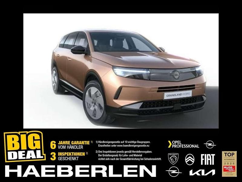 Impakt kupfer Gebraucht 2024 Opel Grandland X SUV | 41.266 € - Bild 1/4
