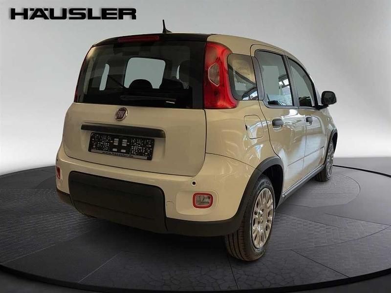 Gebraucht Fiat Panda 69 PS (50 kW) 2024 Weiß Limousine
