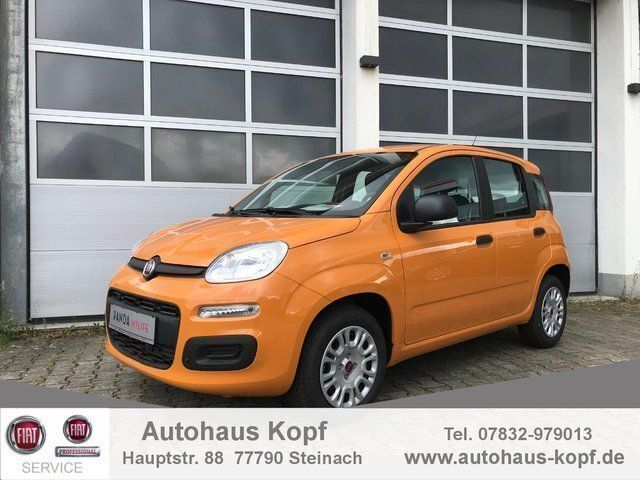 Orange Gebraucht 2019 Fiat Panda Easy Kleinwagen | 9.990 € (Fairer Preis) - Bild 1/4