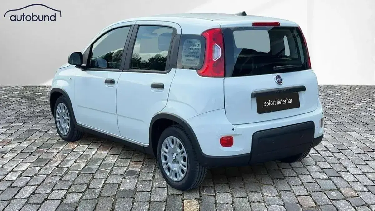 Usata Fiat Panda 71 CV (52 kW) 2024 Bianco Utilitaria