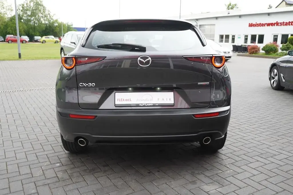 Gebraucht Mazda CX-30 Selection 150 PS (110 kW) 2020 Grau SUV