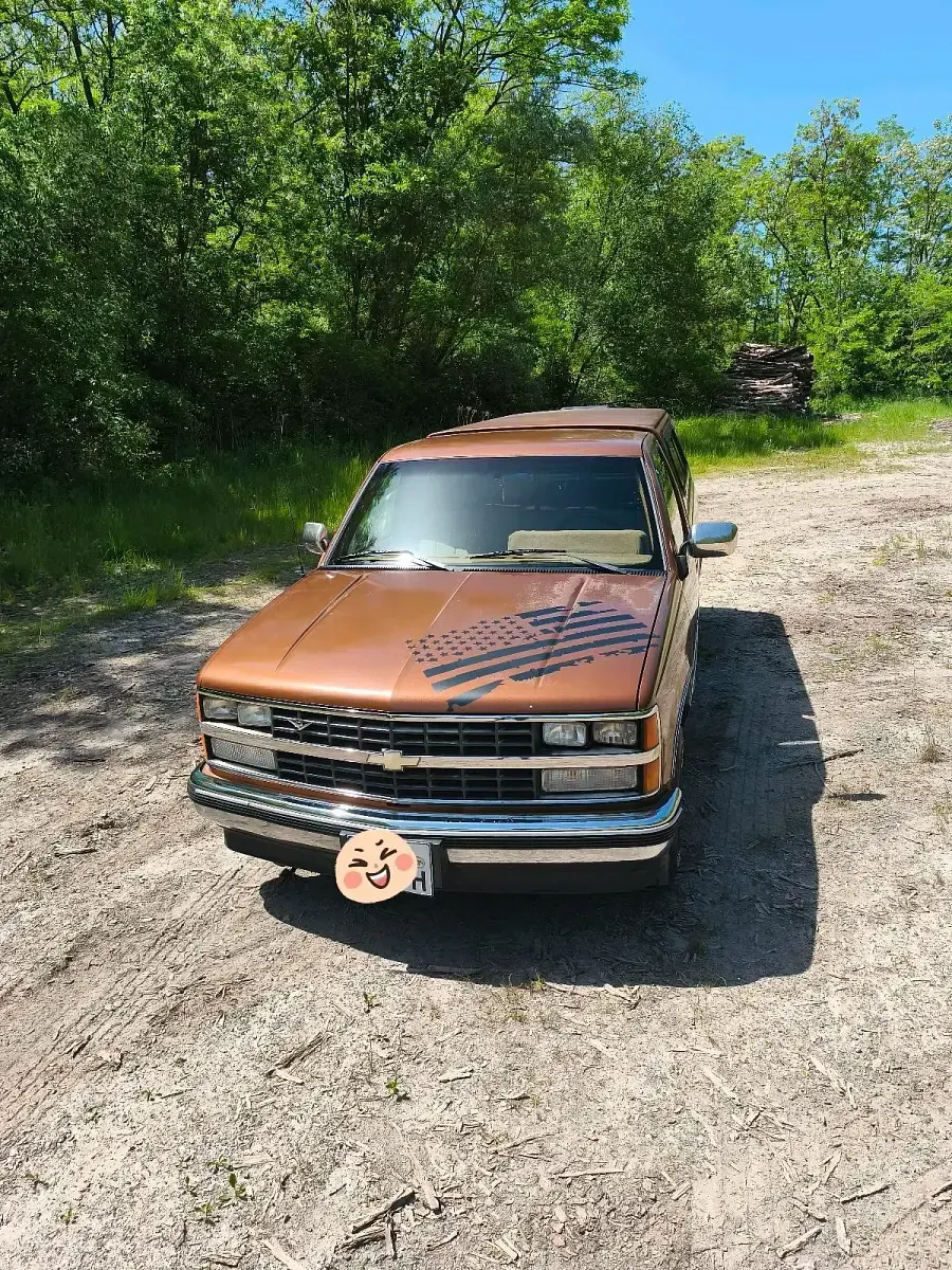 Gebraucht Chevrolet C1500 210 PS (154 kW) 1989 Braun Pickup