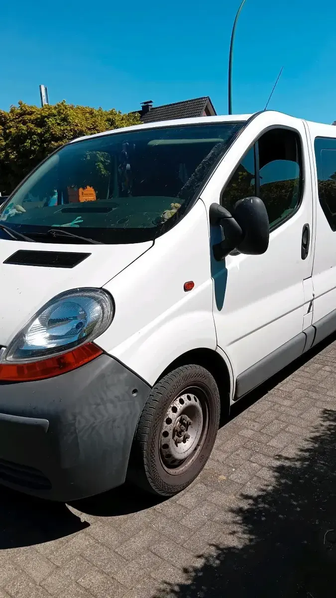 Second-hand Renault Trafic 81 CP (59 kW) 2006 Alb Monovolum